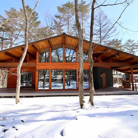 Hygge Chalet Хакуба-Мура Экстерьер фото